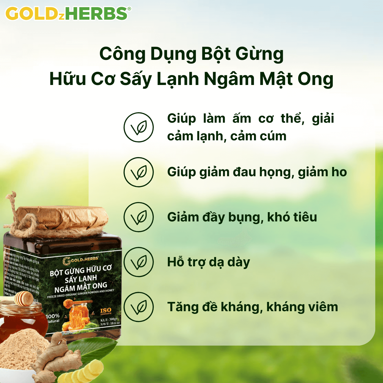 Bột gừng hữu cơ sấy lạnh ngâm mật ong - Hộp 2