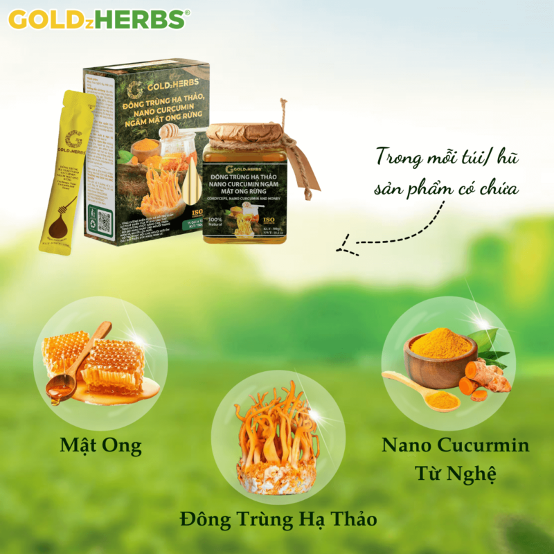 Đông trùng hạ thảo, nano curcumin ngâm mật ong rừng - Hộp 2