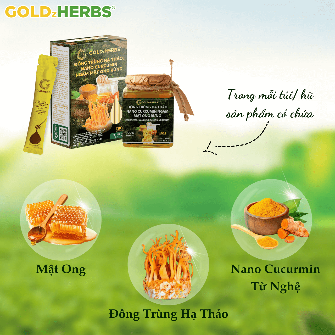 Đông trùng hạ thảo, nano curcumin ngâm mật ong rừng - Hộp 2