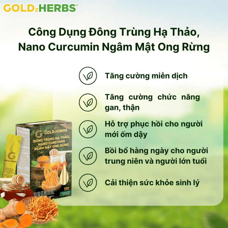 Đông trùng hạ thảo, nano curcumin ngâm mật ong rừng - Hộp 2