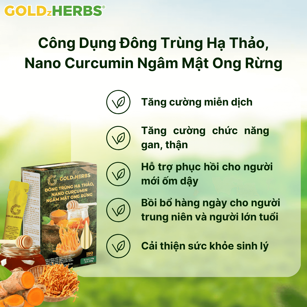 Đông trùng hạ thảo, nano curcumin ngâm mật ong rừng - Hộp 3 Đông trùng hạ thảo, nano curcumin ngâm mật ong rừng - Hộp 2