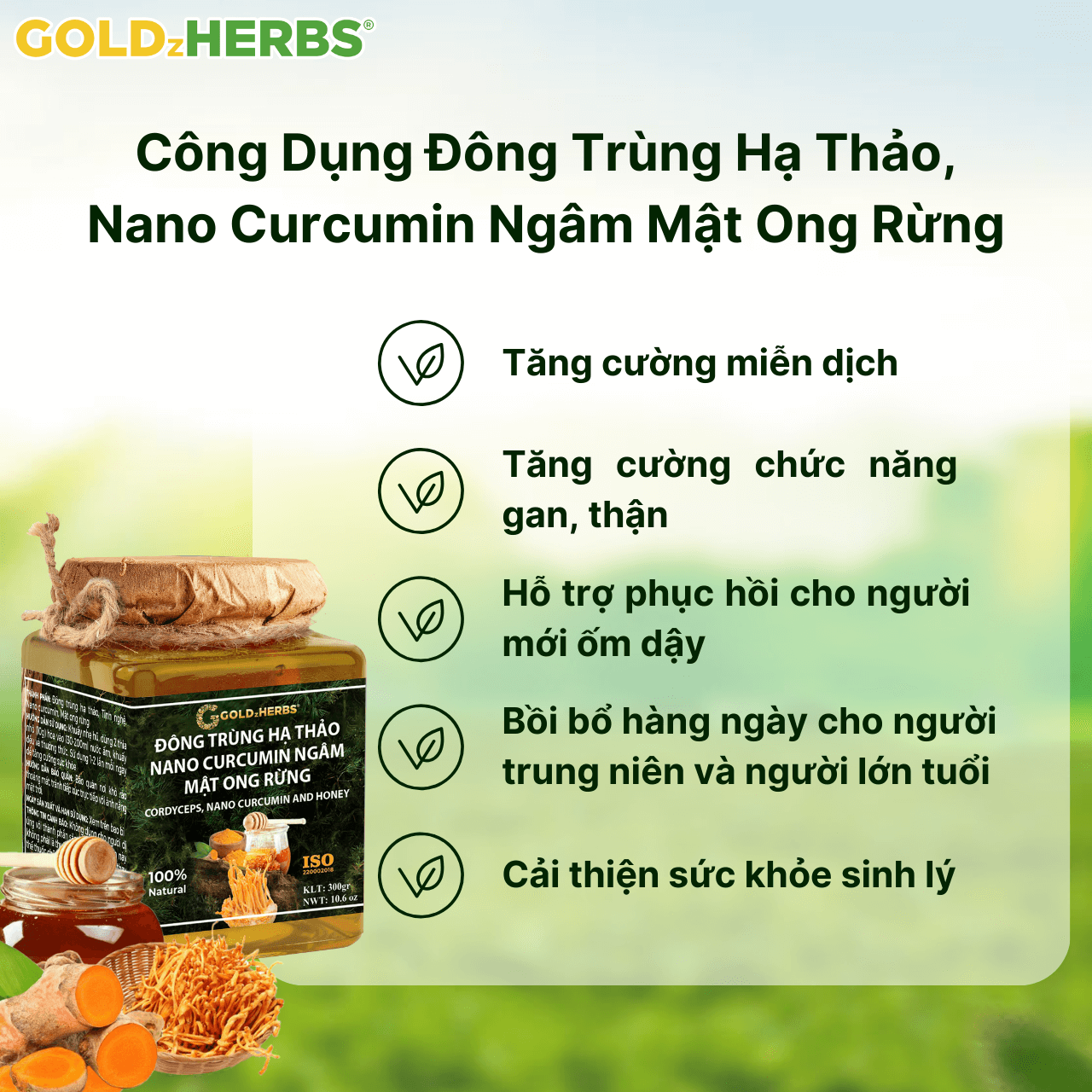 Đông trùng hạ thảo, nano curcumin ngâm mật ong rừng - Hộp 2