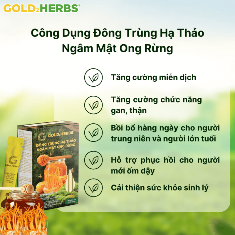 Đông trùng hạ thảo ngâm mật ong - Hộp 2