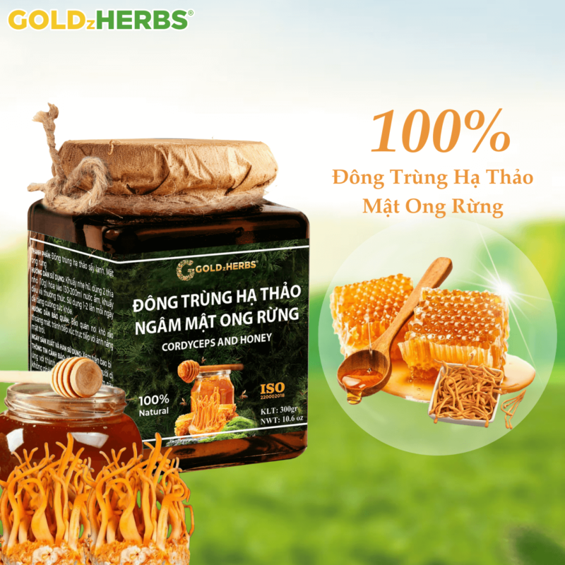 Đông trùng hạ thảo ngâm mật ong - Hộp 2