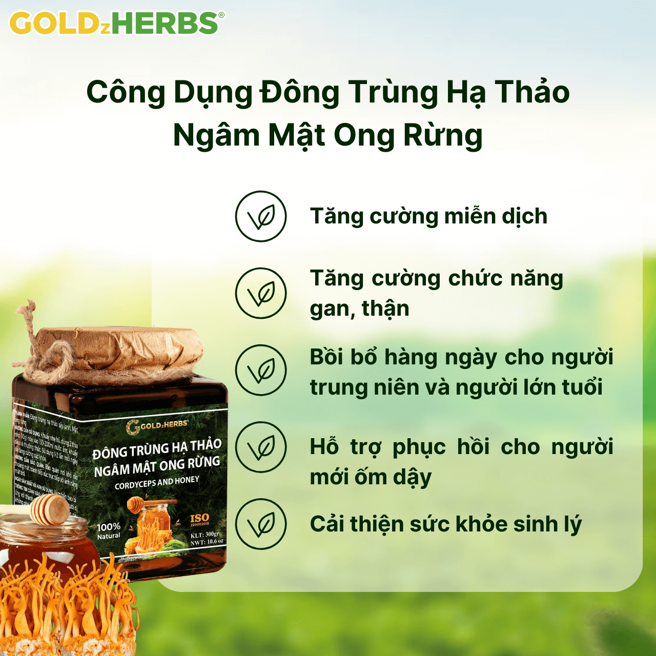 Đông trùng hạ thảo ngâm mật ong - Hộp 2