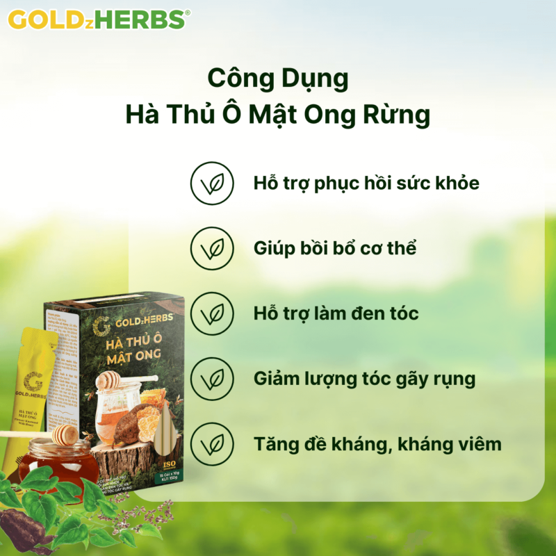 Hà thủ ô mật ong rừng - Hộp 1