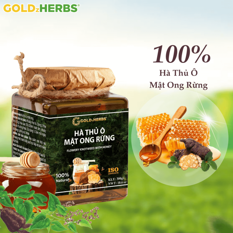 Hà thủ ô mật ong rừng - Hộp 1