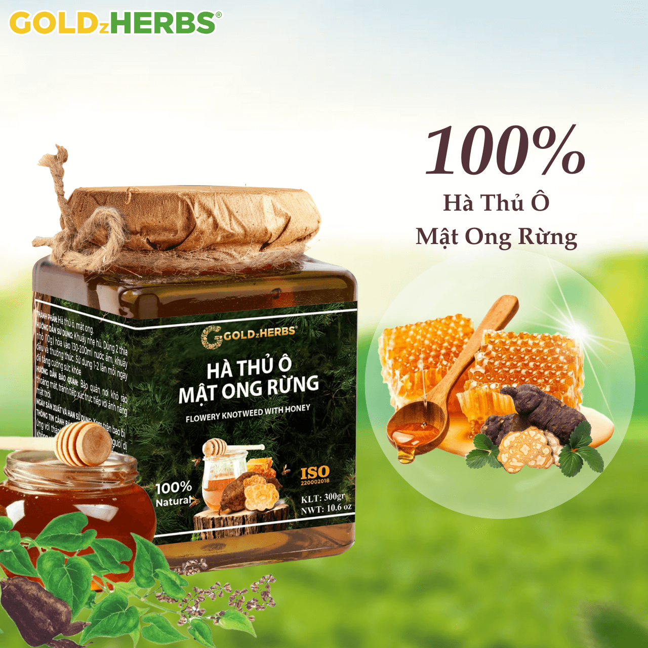 Hà thủ ô mật ong rừng - Hộp 1