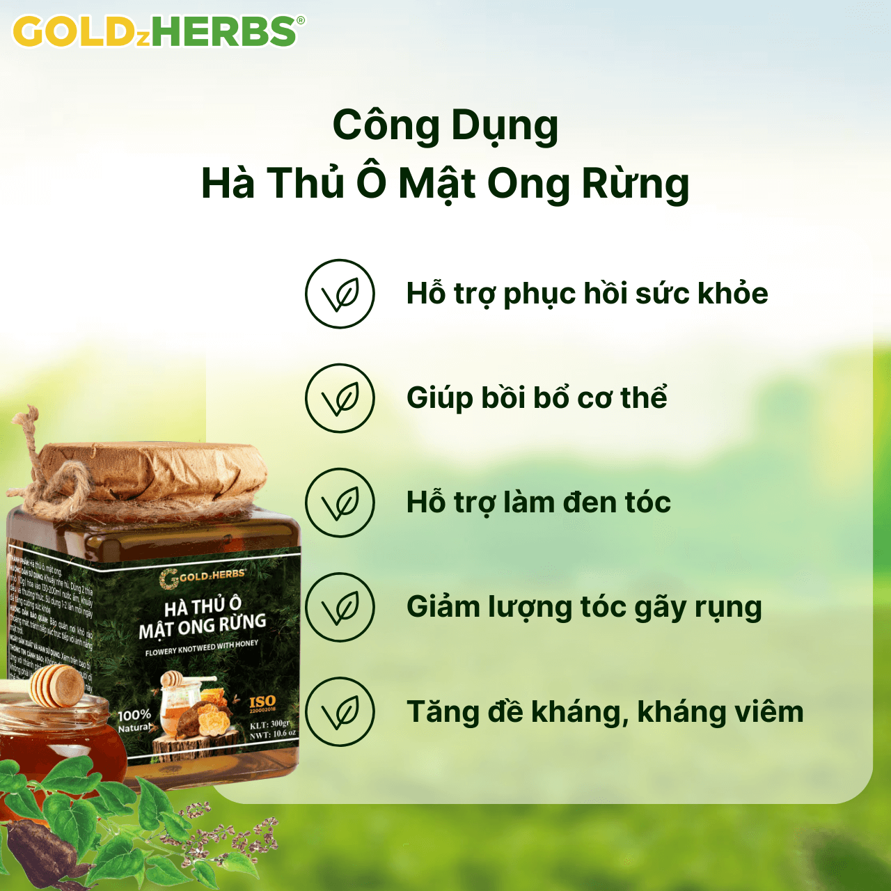 Hà thủ ô mật ong rừng - Hộp 1