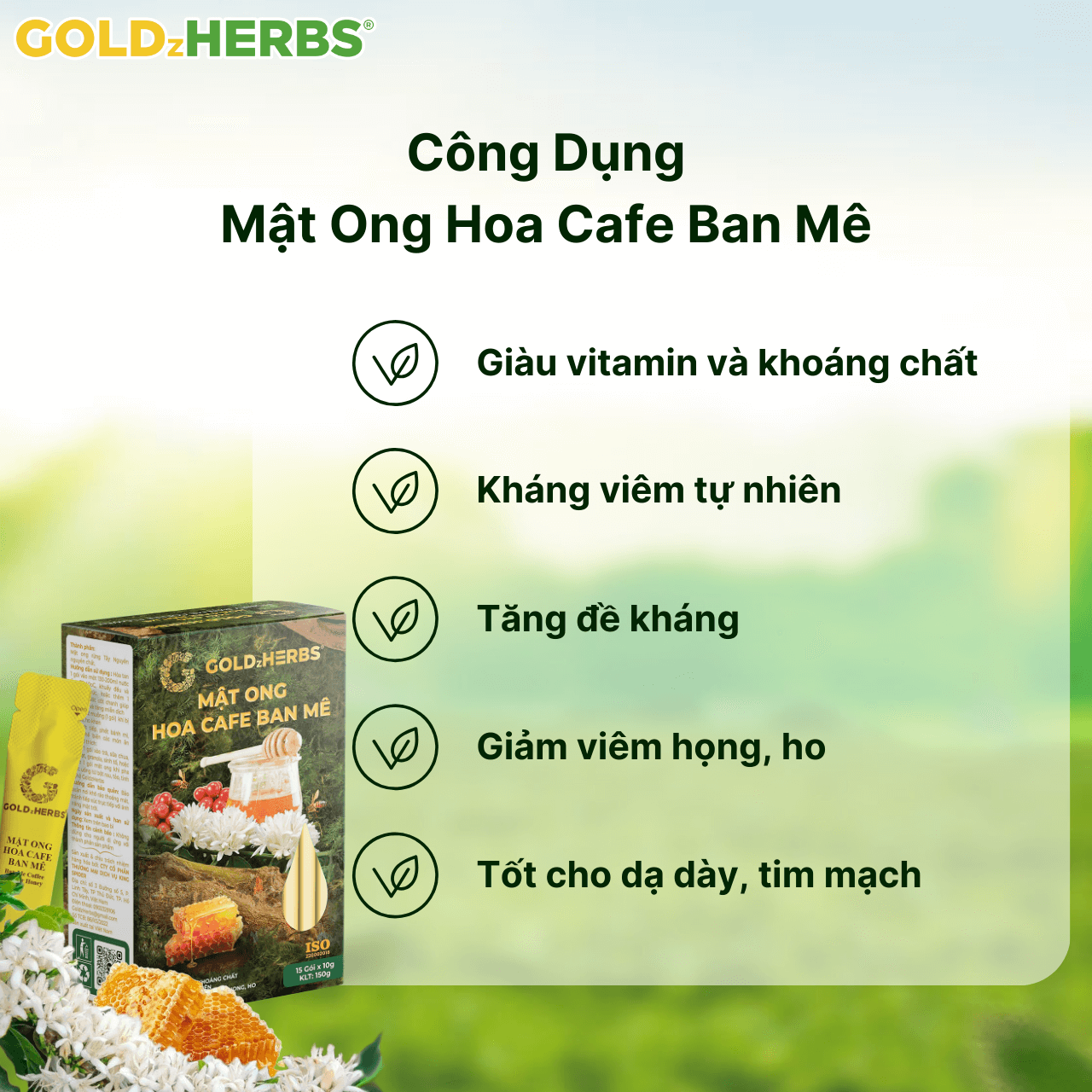 Mật ong hoa cafe Ban Mê - 1