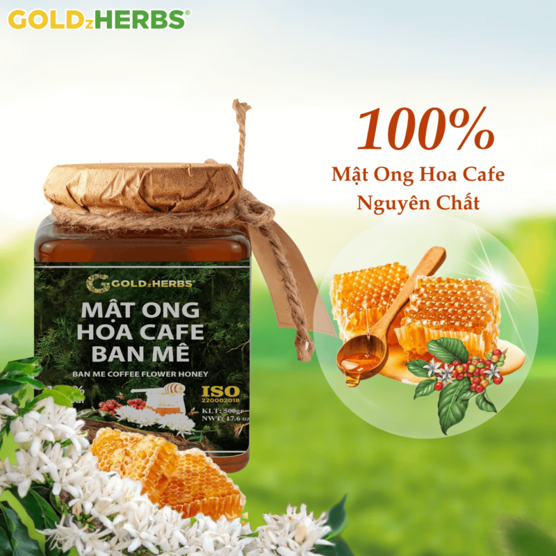 Mật ong hoa cafe Ban Mê - 1