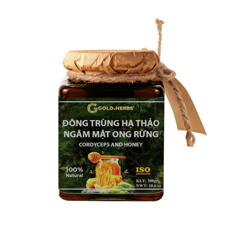 dong-trung-ha-thao-nano (1) dong-trung-ha-thao-nano (2)